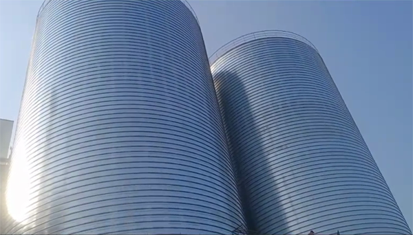 龙里2座混凝土高架卷板仓